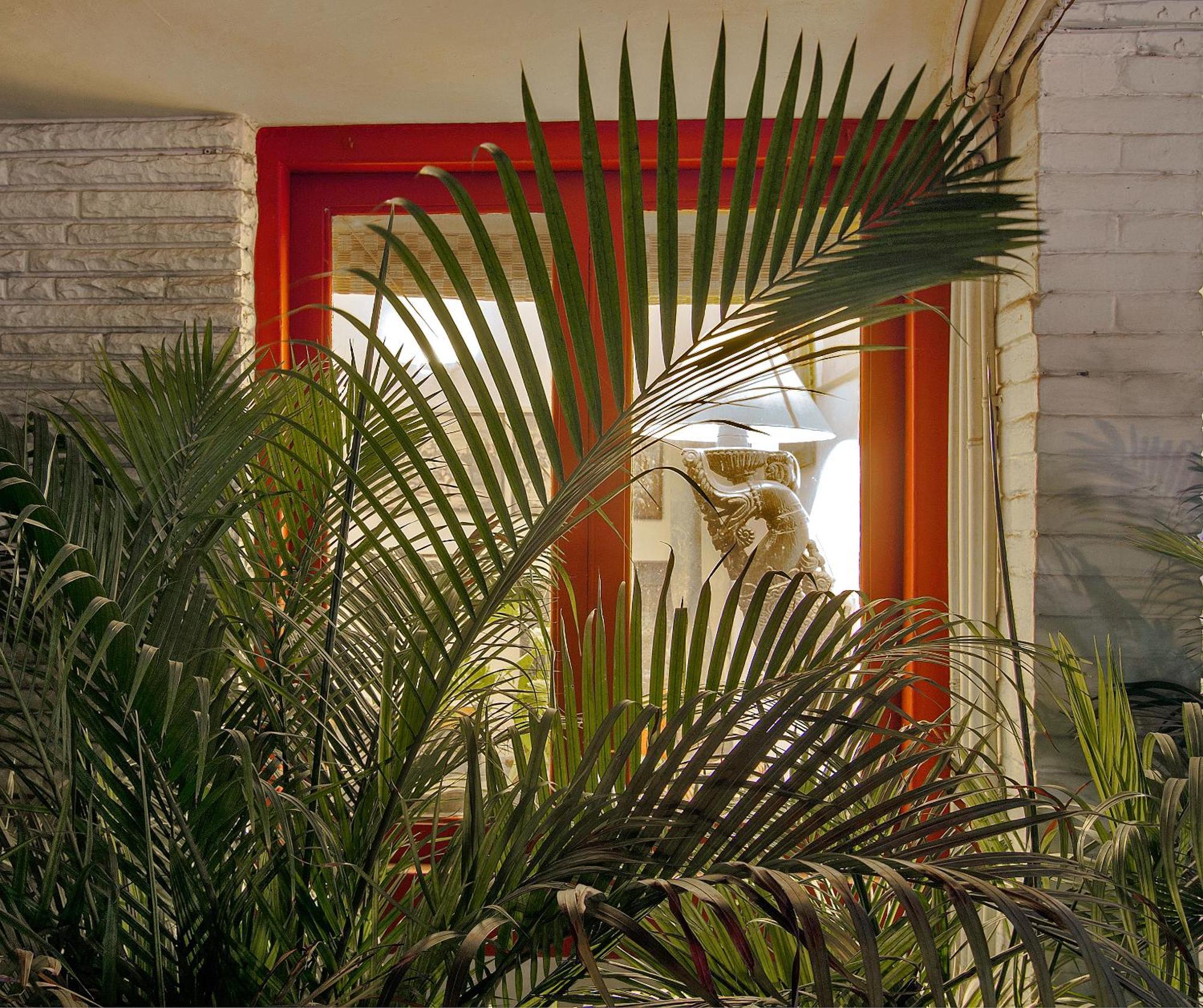 Bed and Breakfast Haveli Hauz Khas Nowe Delhi Zewnętrze zdjęcie